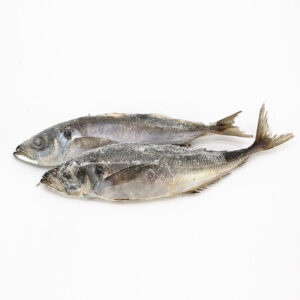 Chinchard norvege 20kg