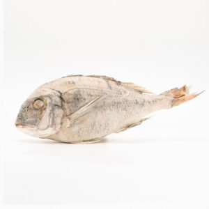 Poisson Dorade