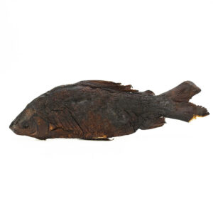 Poisson Fume