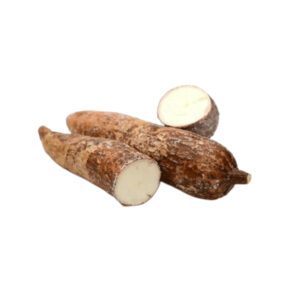 Manioc